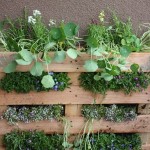 Landscaping on a Budget Pallet Garden