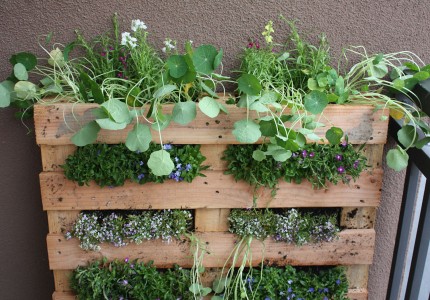 Landscaping on a Budget Pallet Garden