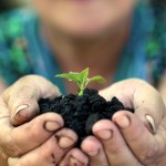 The Bible on Money Luke 16:10