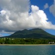 Move to a Tropical Island